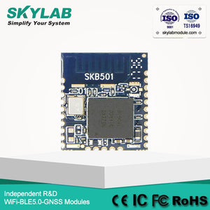 Default Title - SKYLAB Long Range BLE5.0 Bluetooth serial IDE development board Nordic nRF52840 module