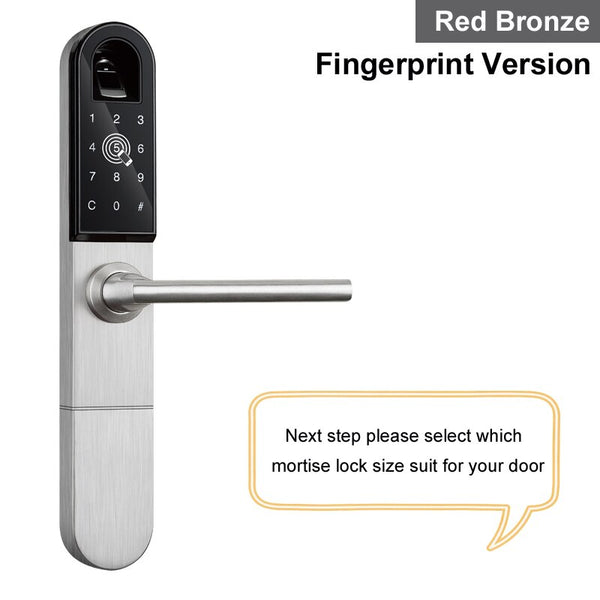 Silver FG / 22 x 235 (60 72) - RAYKUBE Electronic Door Lock With Fingerprint / Smart Card / Bluetooth Unlock Wifi TT lock Phone APP Keyless Mortise Lock R-F918