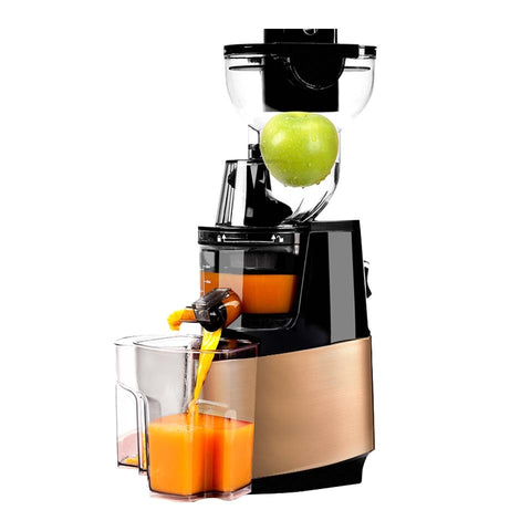 [variant_title] - 250w powerful 90mm large  diameter wide mouth Fruit nutrition slow juicer Fruit Vegetable Tools Multifunctional  Fruit Squeezer