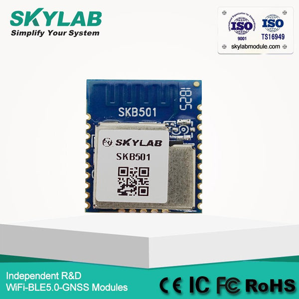 [variant_title] - Low Cost Hot sale skylab bluetooth hid nRF52840, bluetooth module 5.0, bluetooth 5.0 module, nrf52 nrf52840 dongle module