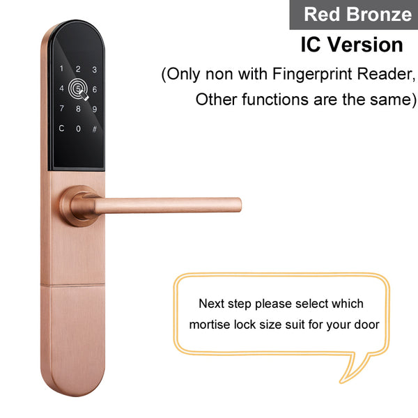 Red Bronze IC / 22 x 235 (60 72) - RAYKUBE Electronic Door Lock With Fingerprint / Smart Card / Bluetooth Unlock Wifi TT lock Phone APP Keyless Mortise Lock R-F918