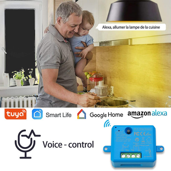 [variant_title] - Tuya Smart Life Tiny WiFi Switch Socket Module DIY Smart Light and Socket Google Home Echo Alexa Voice Control Remote Control