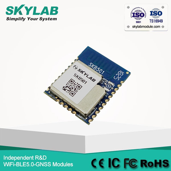 [variant_title] - Low Cost Hot sale skylab bluetooth hid nRF52840, bluetooth module 5.0, bluetooth 5.0 module, nrf52 nrf52840 dongle module