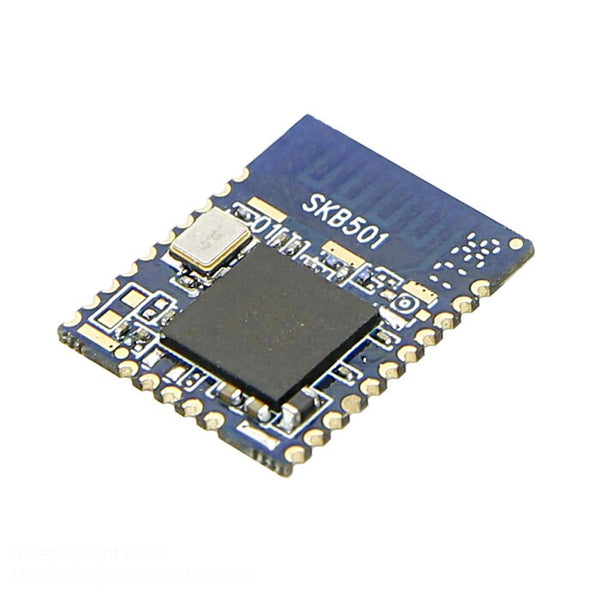 [variant_title] - Top sales SKYLAB ARM Coretex M4 Multiprotocol Mesh bluetooth 5 nrf52 Nordic nRF52840 module with external antenna and crystal